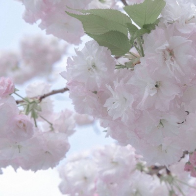 兽设零基础绘画教程兽圈群